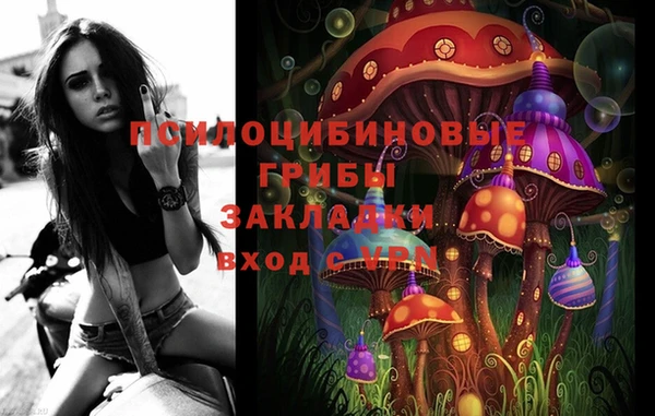 дурь Белоозёрский