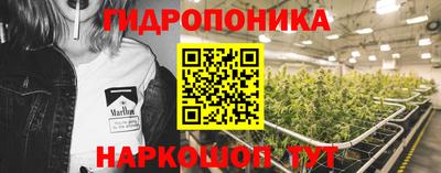 каннабис Кингисепп