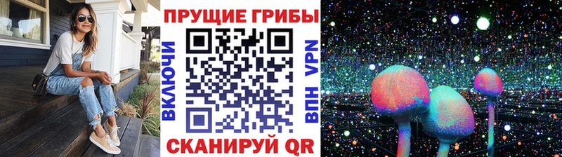цены   Шадринск  KRAKEN как зайти  Галлюциногенные грибы MAGIC MUSHROOMS 
