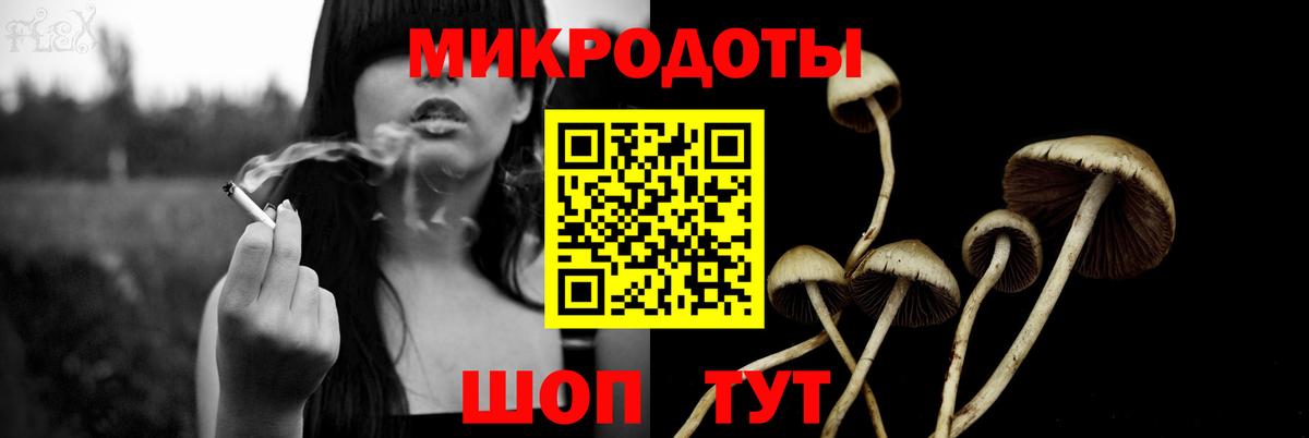Псилоцибиновые грибы мицелий Шадринск